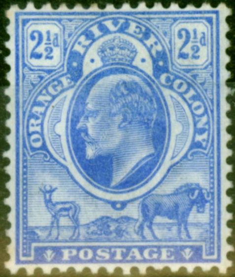 Rare Postage Stamp from Orange River Colony 1903 2 1/2d Bright Blue SG142 Fine Mtd Mint