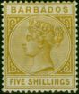 Old Postage Stamp Barbados 1886 5s Bistre SG103 Fine LMM