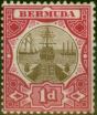 Collectible Postage Stamp Bermuda 1902 1d Brown & Carmine SG32 Fine MM