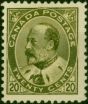 Canada 1904 20c Deep Olive-Green SG186 Good MM . King Edward VII (1902-1910) Mint Stamps