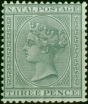 Collectible Postage Stamp Natal 1889 3d Grey SG101 Fine & Fresh LMM
