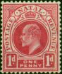 Natal 1904 1d Rose-Carmine SG146 Fine MM. King Edward VII (1902-1910) Mint Stamps