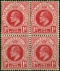 Old Postage Stamp Natal 1904 1d Rose-Carmine SG147 V.F LMM & MNH Block of 4