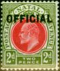 Collectible Postage Stamp from Natal 1904 2d Red & Olive-Green SG03 Fine Mtd Mint