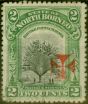 Old Postage Stamp North Borneo 1916 2c Green SG190 Good Used
