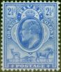 Valuable Postage Stamp from Orange River Colony 1903 2 1/2d Bright Blue SG142 V.F & Fresh Very Lightly Mtd Mint