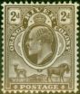 Collectible Postage Stamp from Orange River Colony 1903 2d Brown SG141 Fine Mtd Mint
