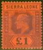 Rare Postage Stamp from Sierra Leone 1905 £1 Purple-Red SG98 V.F Very Lightly Mtd Mint