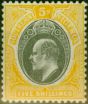 Old Postage Stamp from Southern Nigeria 1903 5s Grey-Black & Yellow SG18 V.F MNH