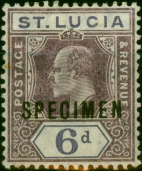 Rare Postage Stamp St Lucia 1910 6d Dull Purple Specimen SG73s Fine LMM
