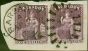 Collectible Postage Stamp Barbados 1878 1s Purple SG81 V.F.U Pair on Piece