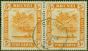 Old Postage Stamp from Brunei 1950 5c Orange SG82b P.14.5 x 13.5 V.F.U Pair