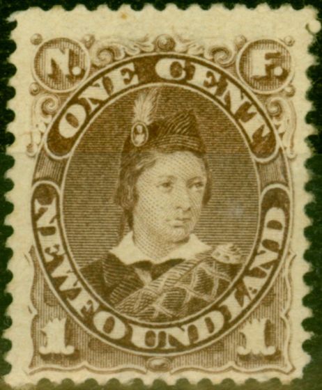 Valuable Postage Stamp from Newfoundland 1880 1c Red-Brown SG44b Good Mtd Mint