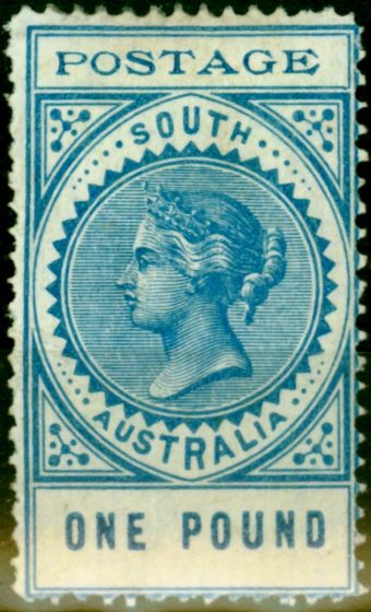 Valuable Postage Stamp from South Australia 1902 £1 Blue SG279 Fine Mtd Mint