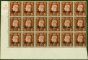 Valuable Postage Stamp from Tangier 1937 1 1/2d Red-Brown SG247 V.F MNH Control B-37 Dot 22 Block of 18