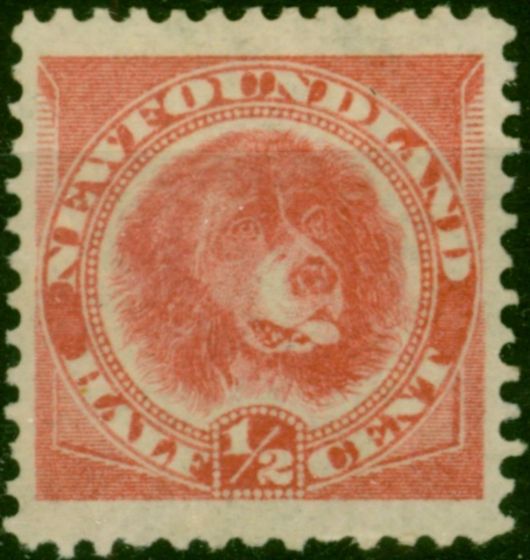 Newfoundland 1887 1/2c Rose-Red SG49 Fine MM (2). Queen Victoria (1840-1901) Mint Stamps