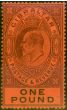 Rare Postage Stamp Gibraltar 1903 £1 Dull Purple & Black-Red SG55 Fine & Fresh LMM
