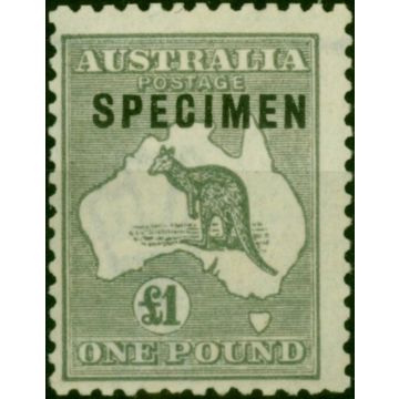 Australia 1924 £1 Grey Specimen SG75s Fine & Fresh LMM 