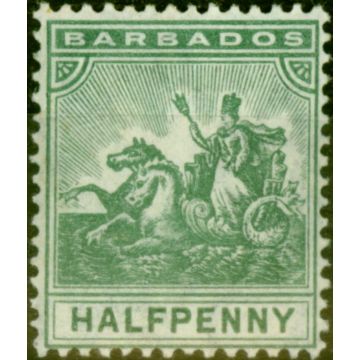 Barbados 1905 1/2d Green SG136 Fine Lightly Mtd Mint Stamp