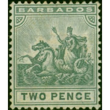 Barbados 1909 2d Greyish Slate SG166 Fine MM 