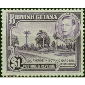 British Guiana 1951 $1 Bright Violet SG317a V.F LMM Scarce 