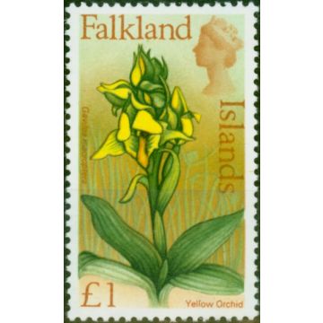 Falkland Islands 1968 £1 Yellow Orchid SG245 V.F MNH