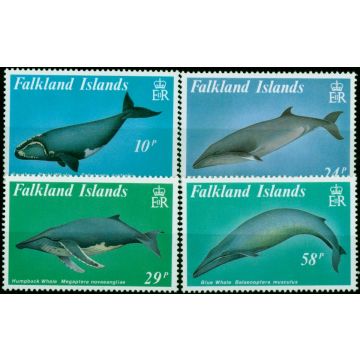 Falkland Islands 1989 Baleen Whales Set of 4 SG583-586 V.F MNH (2)