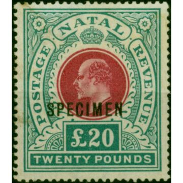 Natal 1902 £20 Red & Green Specimen SG145bs Fine MM