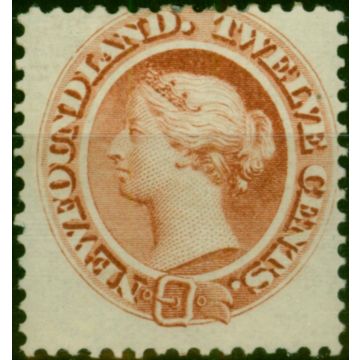 Newfoundland 1870 12c Chestnut SG33 Fine MM