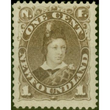 Newfoundland 1880 1c Dull Grey-Brown SG44 Very Fine & Fresh LMM Stamp