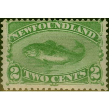 Newfoundland 1882 2c Yellow-Green SG46 Fine & Fresh MM