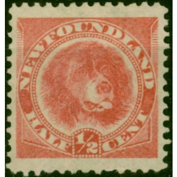 Newfoundland 1887 1/2c Rose-Red SG49 Fine MM (2)