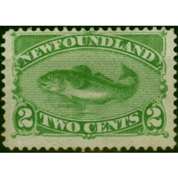Newfoundland 1896 2c Green SG64 Fine Unused 