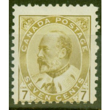 Canada 1903 7c Yellow-Olive SG180 Mtd Mint 