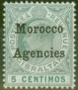 Old Postage Stamp from Morocco Agencies 1905 5c Grey-Green & Green SG24 V.F MNH