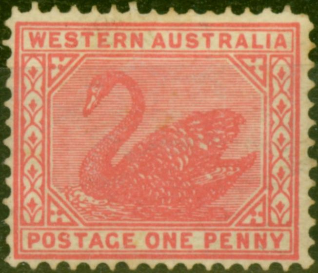 Collectible Postage Stamp from Western Australia 1903 1d Carmine-Rose SG117 Fine Mtd Mint