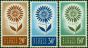 Rare Postage Stamp Cyprus 1964 Europa Set of 3 SG249-251 V.F VLMM
