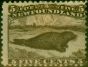 Valuable Postage Stamp from Newfoundland 1865 5c Brown SG26 Fine Mtd Mint