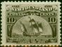 Valuable Postage Stamp Newfoundland 1897 10c Sepia SG73 Fine & Fresh MM