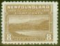 Old Postage Stamp from Newfoundland 1910 8c Bistre Brown SG101 Fine Mtd Mint