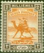 Valuable Postage Stamp from Sudan 1922 2m Yellow-Orange & Chocolate SG31 Fine Mtd Mint (2)