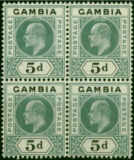 Valuable Postage Stamp Gambia 1905 5d Grey & Black SG63 Fine MM & MNH Block of 4