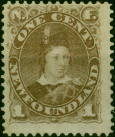 Newfoundland 1880 1c Dull Brown SG44a Good MM. Queen Victoria (1840-1901) Mint Stamps