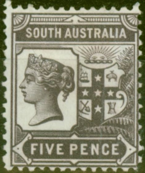 Rare Postage Stamp from South Australia 1896 5d Brown-Purple SG238 P.13 Fine Mtd Mint