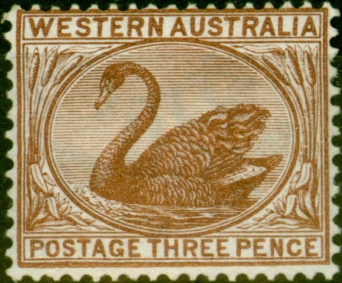 Valuable Postage Stamp from Western Australia 1895 3d Red-Brown SG87 Fine Very Lightly Mtd Mint