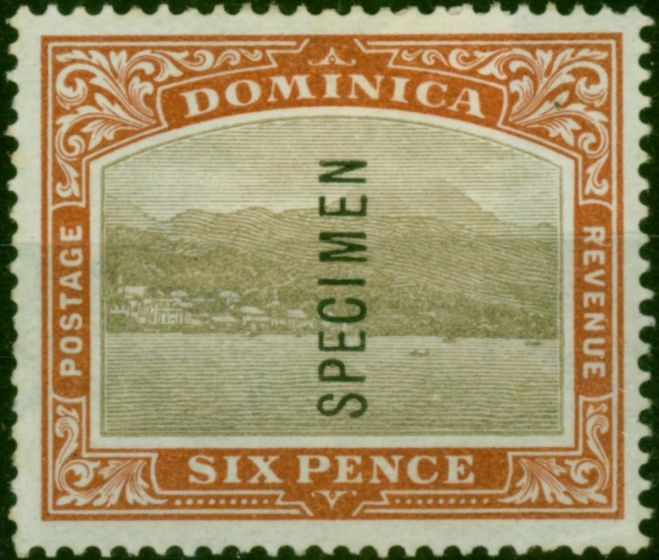 Dominica 1903 6d Grey & Chestnut Specimen SG32s Fine MM . King Edward VII (1902-1910) Mint Stamps
