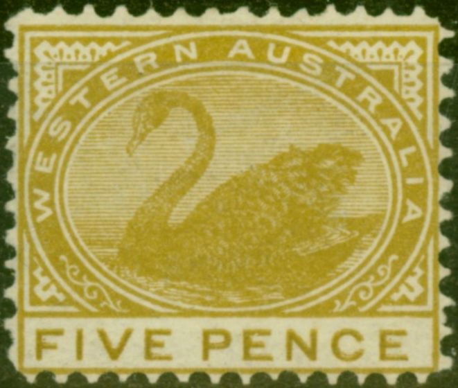 Valuable Postage Stamp from Western Australia 1909 5d Olive-Green SG143a Fine Mtd Mint