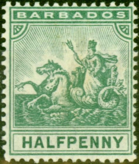 Rare Postage Stamp from Barbados 1905 1/2d Green SG136 Fine Lightly Mtd Mint