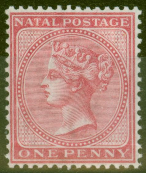 Rare Postage Stamp from Natal 1874 1d Brt Rose SG67 Very Fresh Lightly Mtd Mint