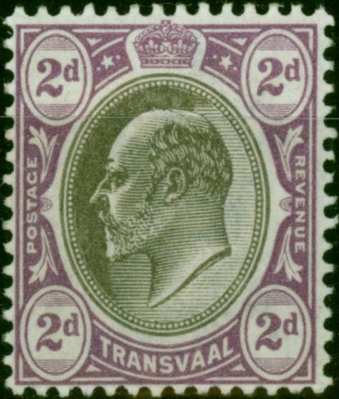 Rare Postage Stamp Transvaal 1902 2d Black & Purple SG246 Fine MM